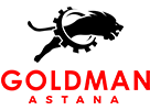 Goldmancraft